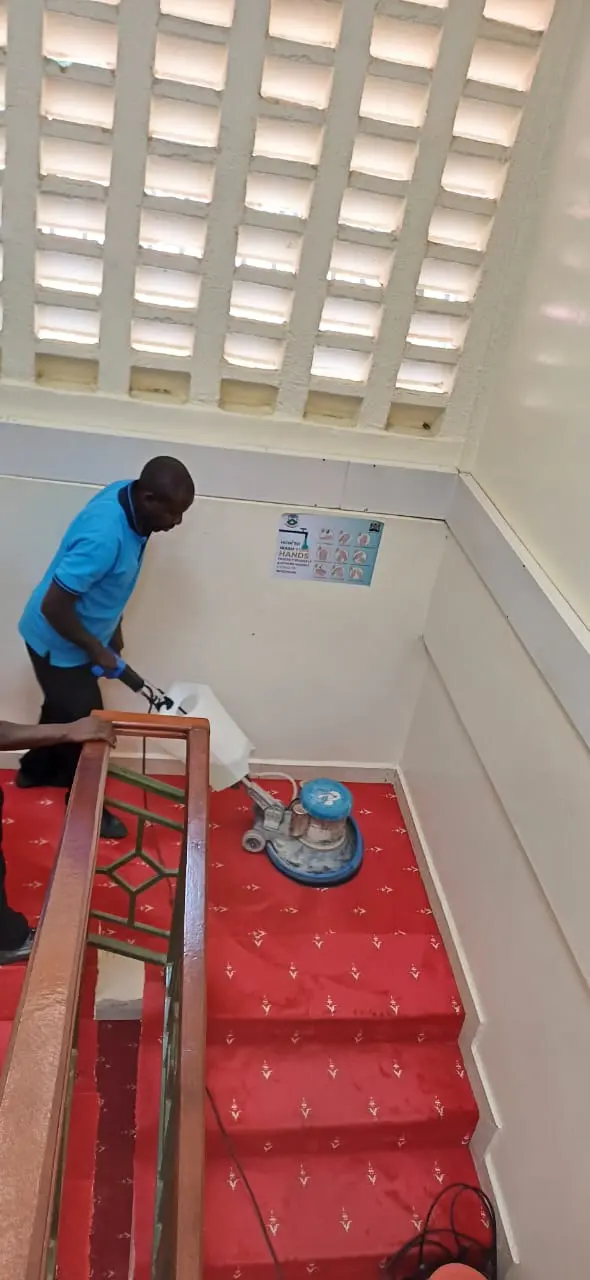 Specialized cleaning services