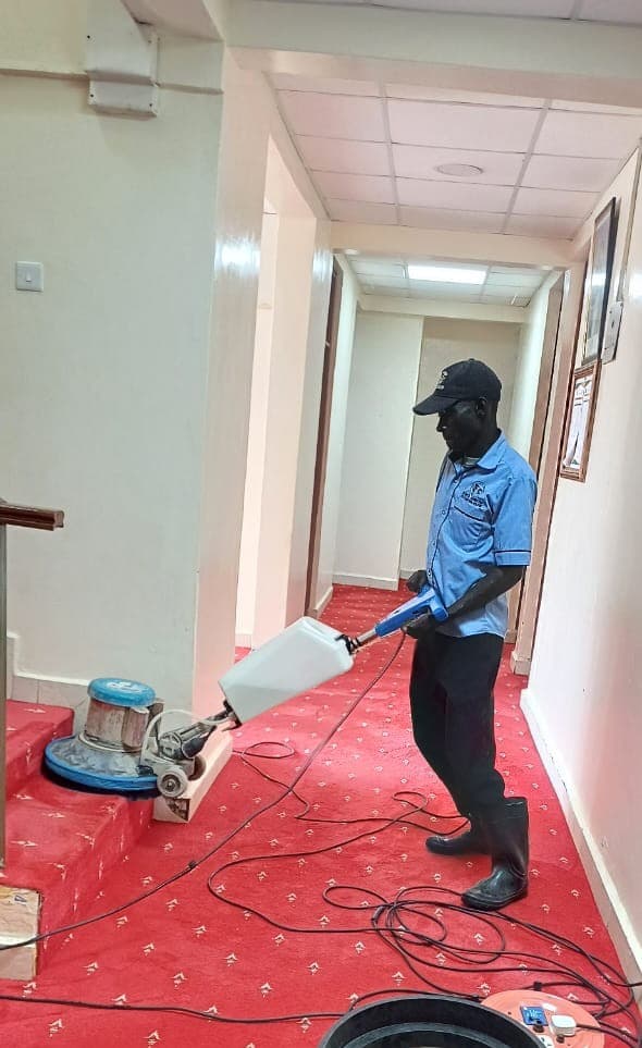 Professional carpet and upholstery cleaning team at work