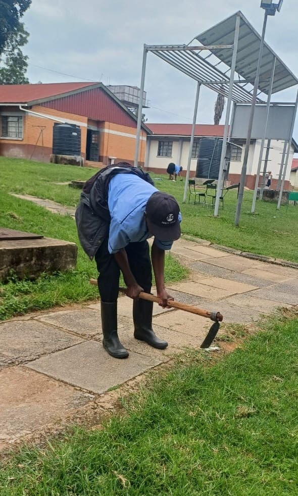 Seasonal landscaping