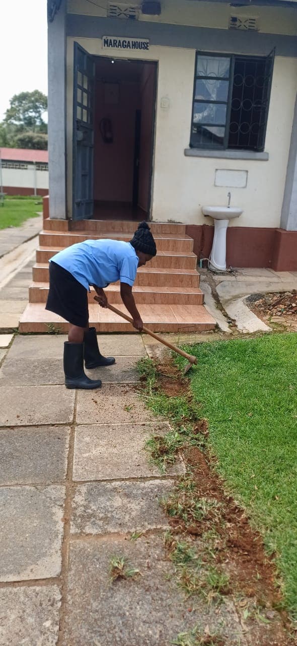 Professional landscaping and gardening