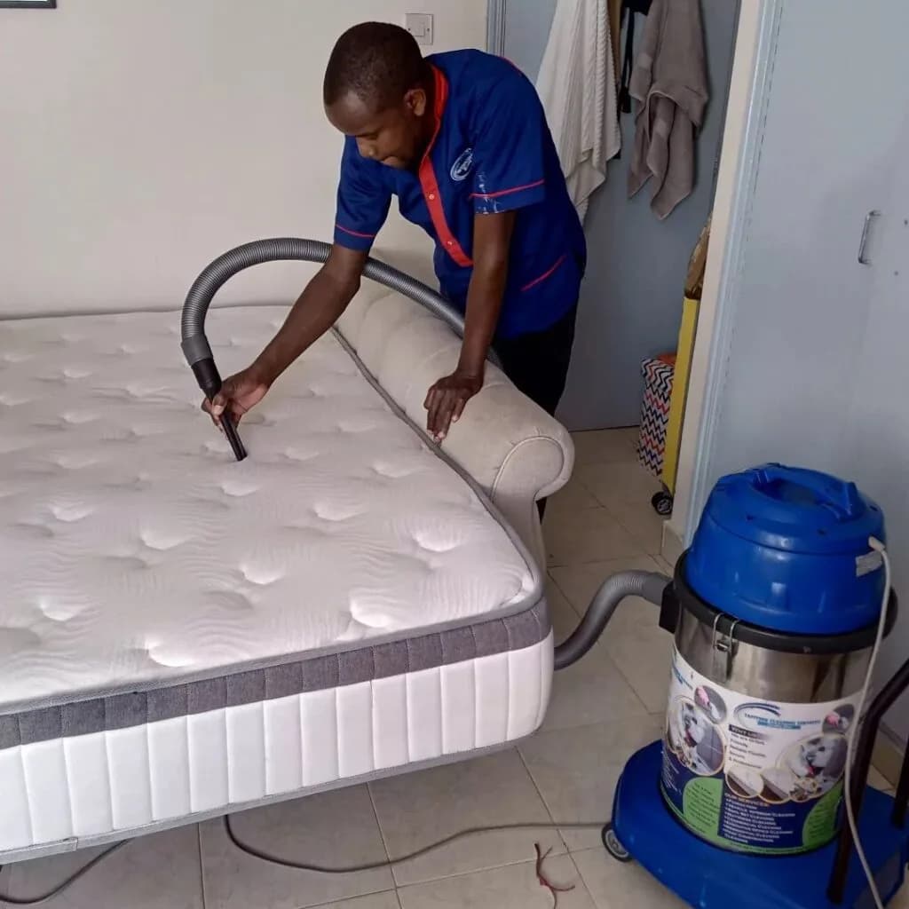 Professional mattress cleaning team at work
