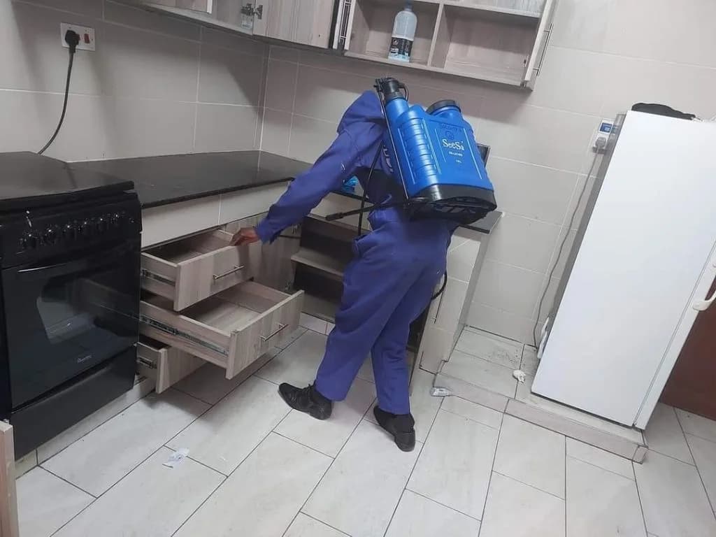 Professional sanitization services