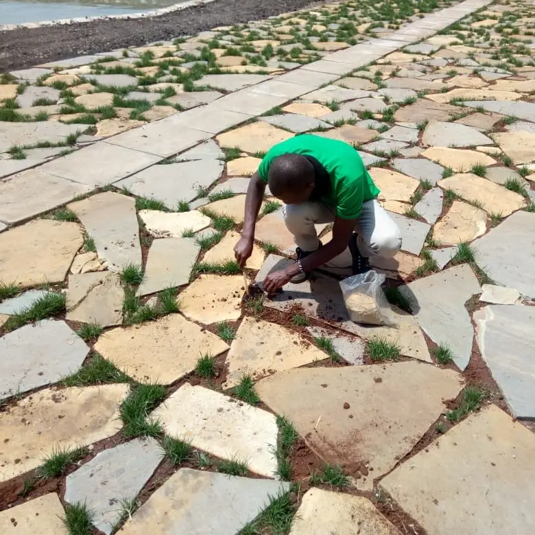 Professional landscaping services - garden design