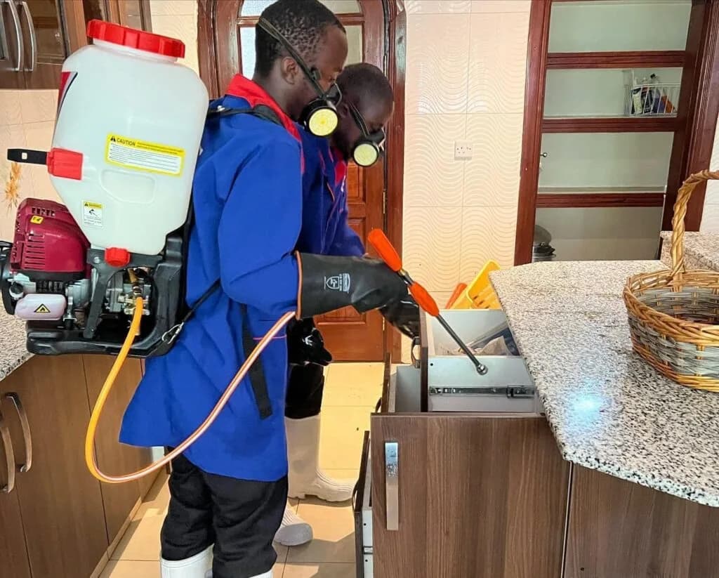 Professional fumigation and pest control services - treatment areas