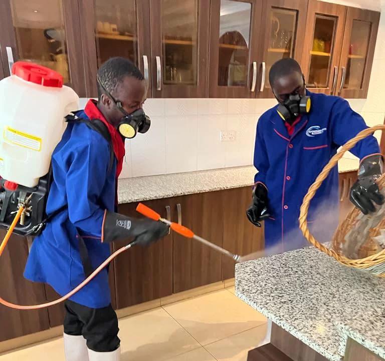 Professional fumigation and pest control team at work
