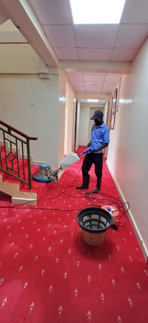 Specialized Cleaning
