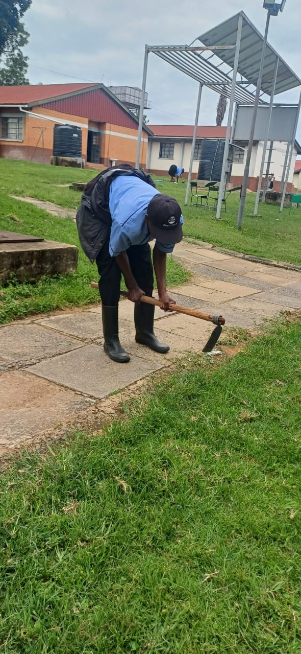 Landscaping & Gardening